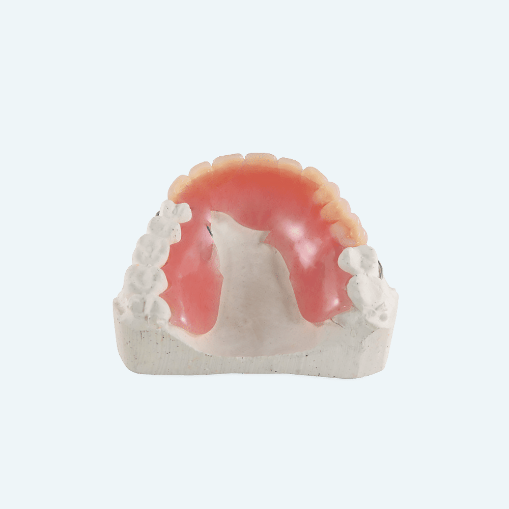 Upper denture model, pink gums, white teeth set in plaster base.