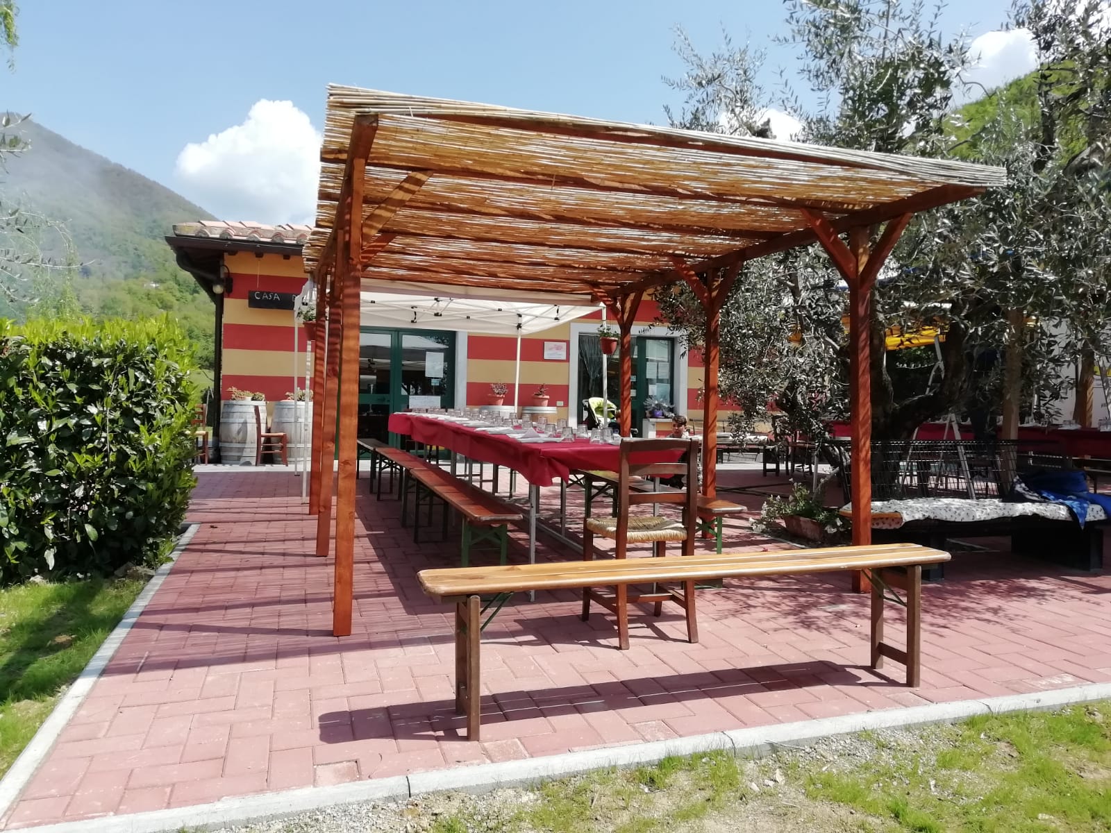 Azienda agricola foto 12