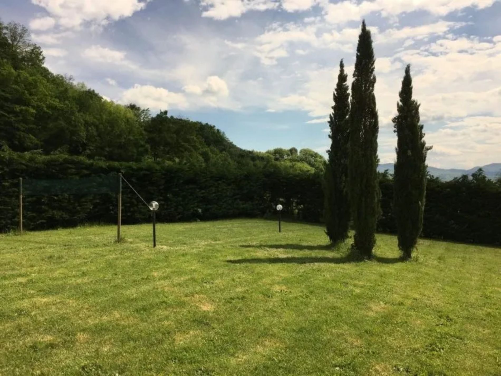 Green landscape