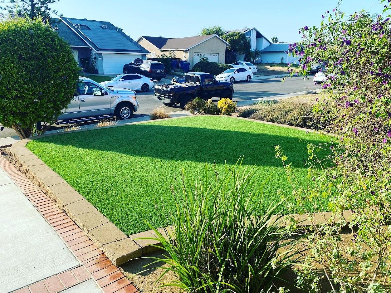artificial turf san diego