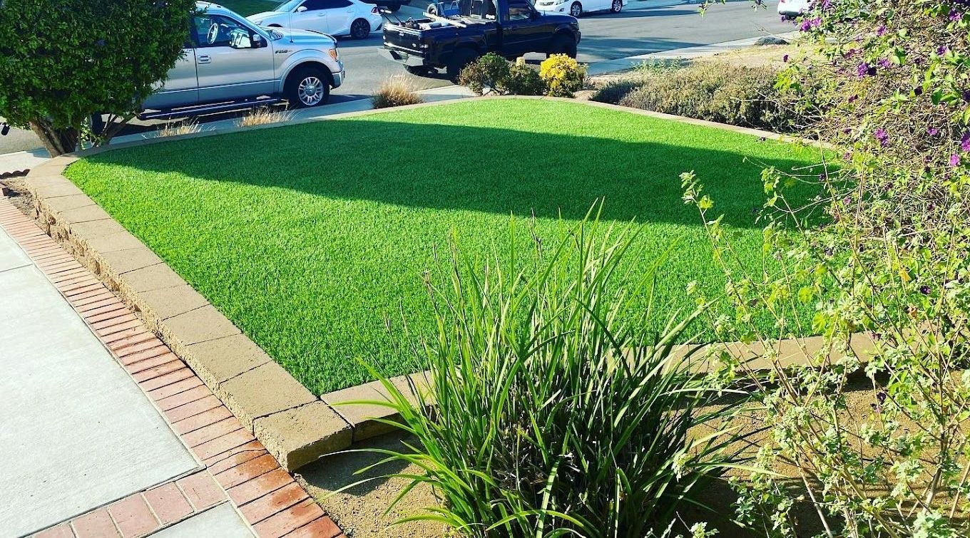 artificial turf san diego