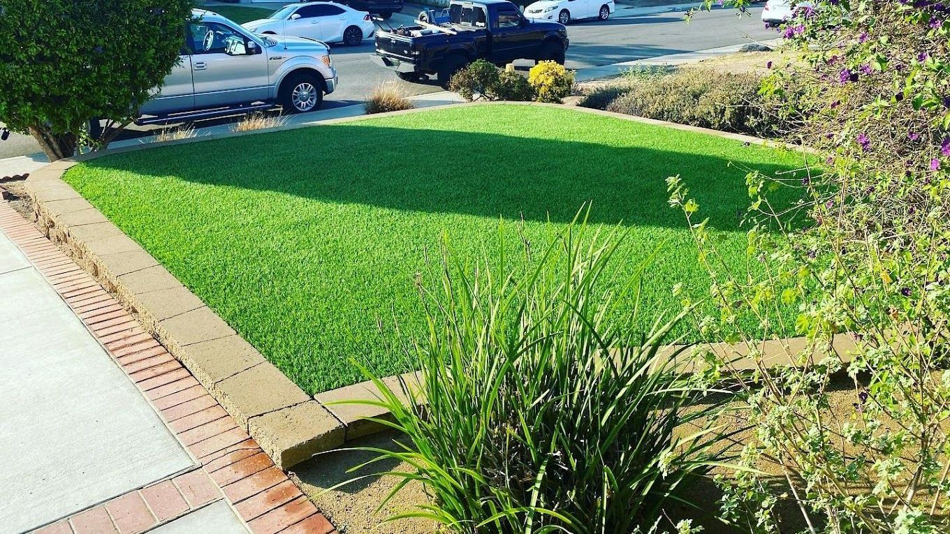 san diego landscapers