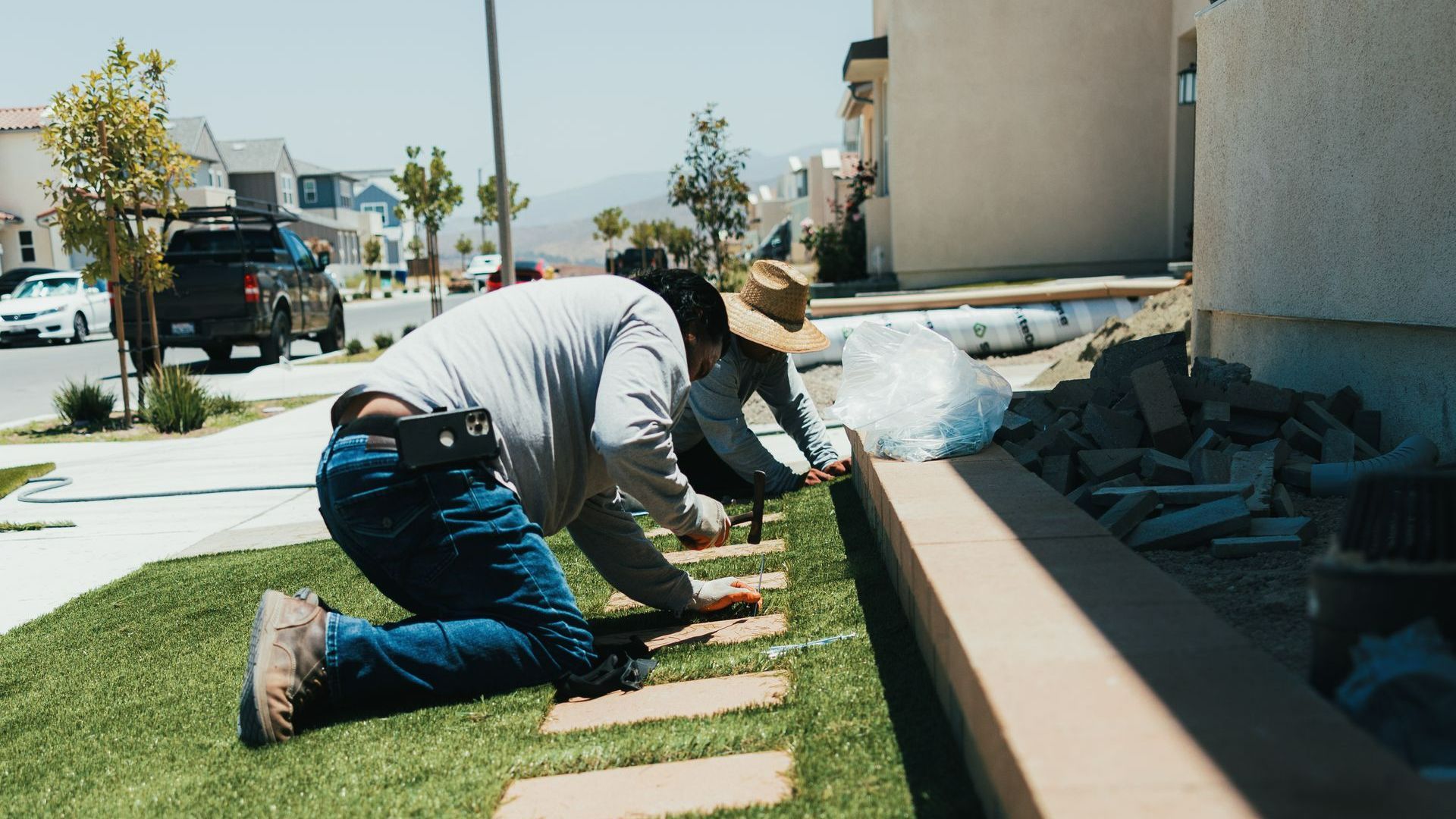 expert landscape in san diego