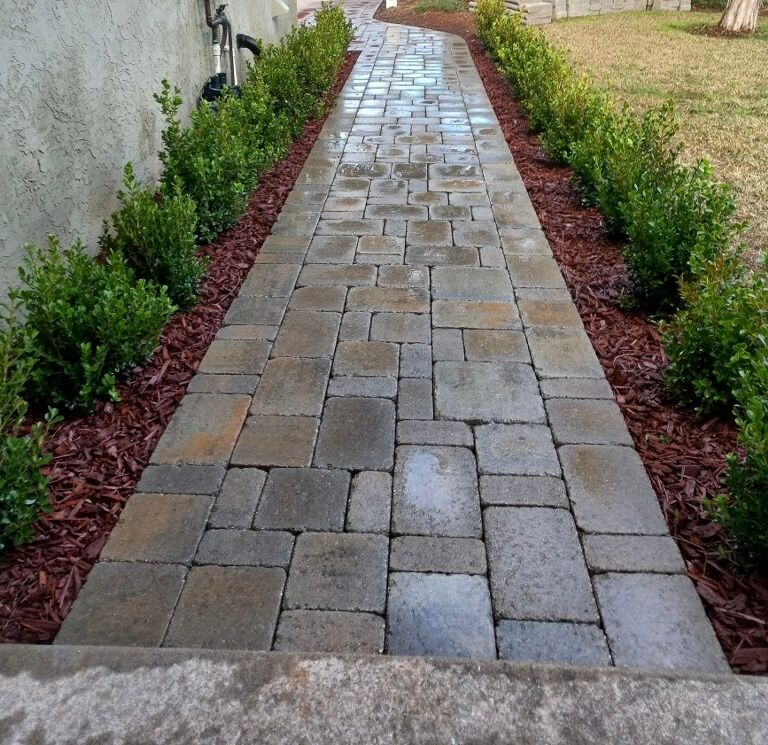  Stone pavers walkway designed and installed in a San Diego landscape project.