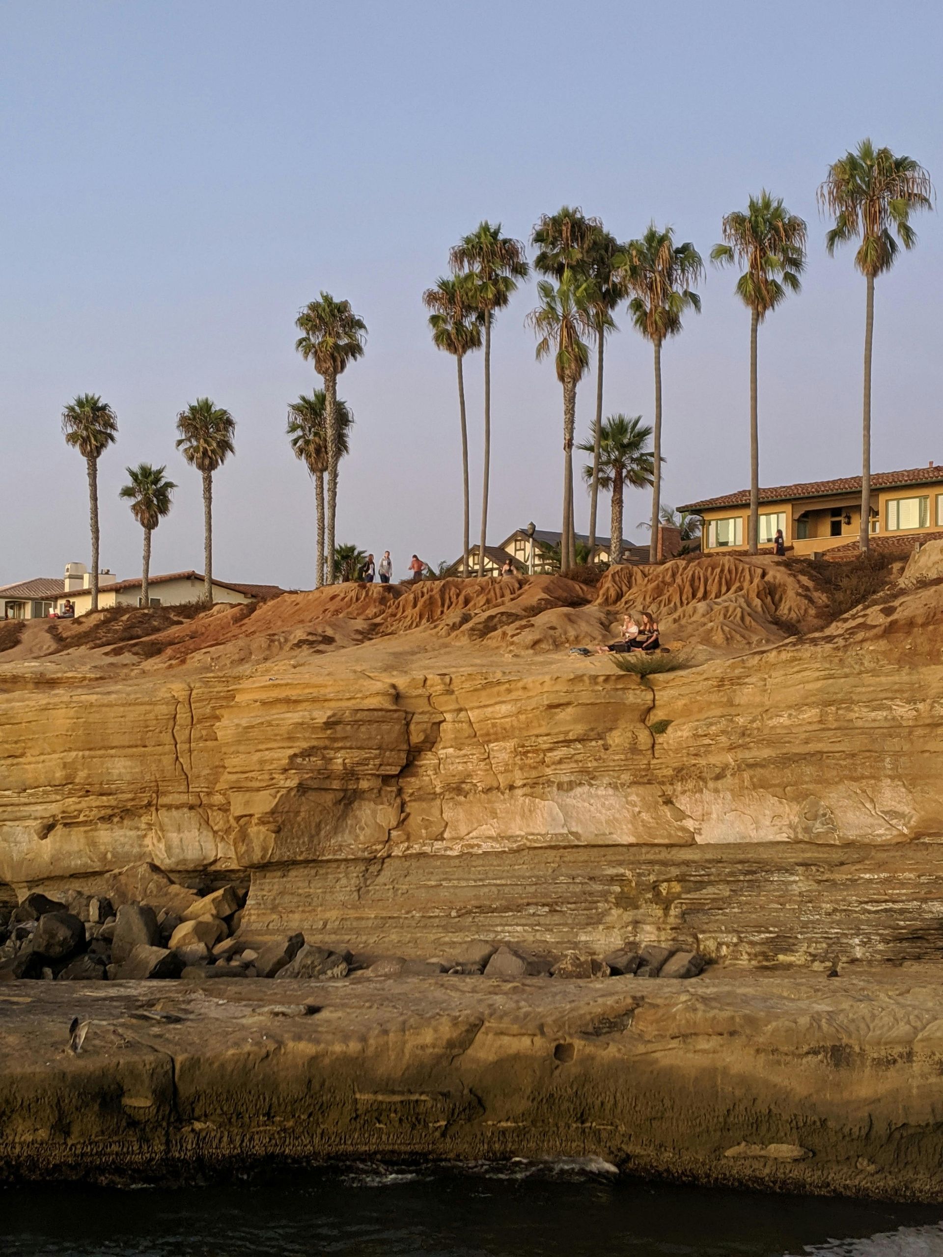 Sunny backyard landscape in San Diego with drought-tolerant plants and vibrant green turf