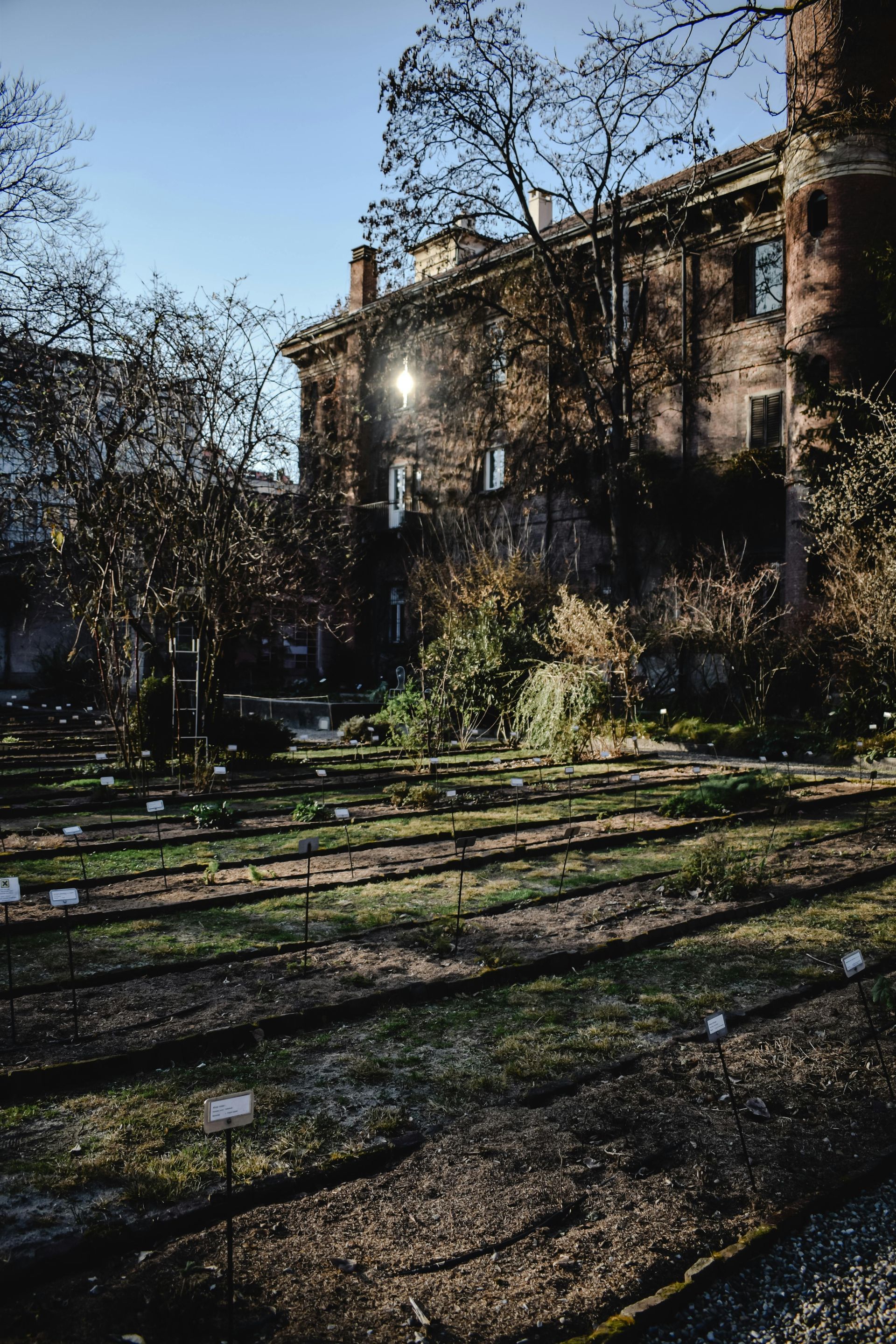 Winter landscape design in San Diego with evergreen plants and well-maintained garden beds