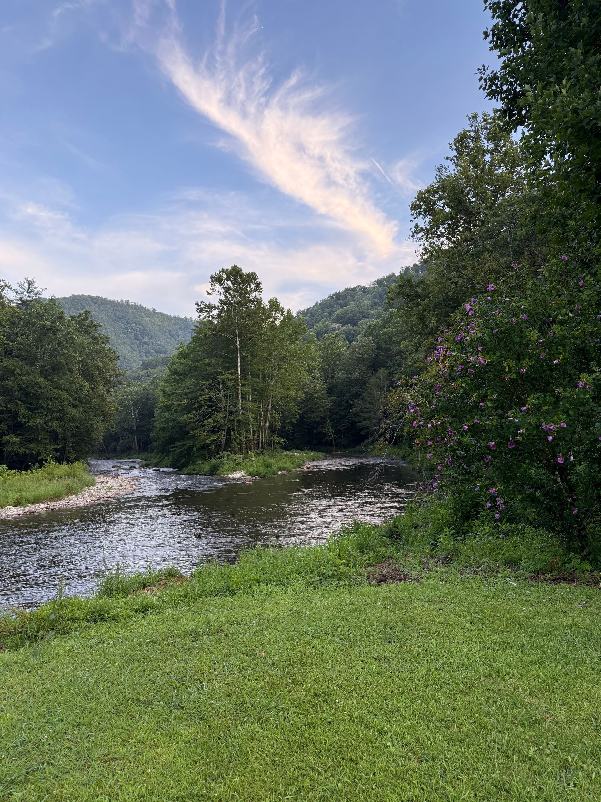 River flowing through lush green trees under a partly cloudy sky.