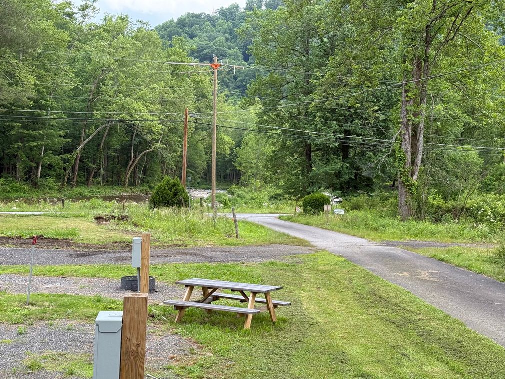Campsite with a picnic table, electrical hookups, and a paved road leading into a wooded area.