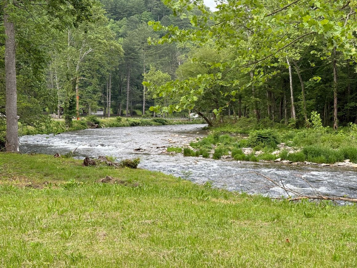 Grassy bank leads to a flowing river surrounded by trees in a natural setting.