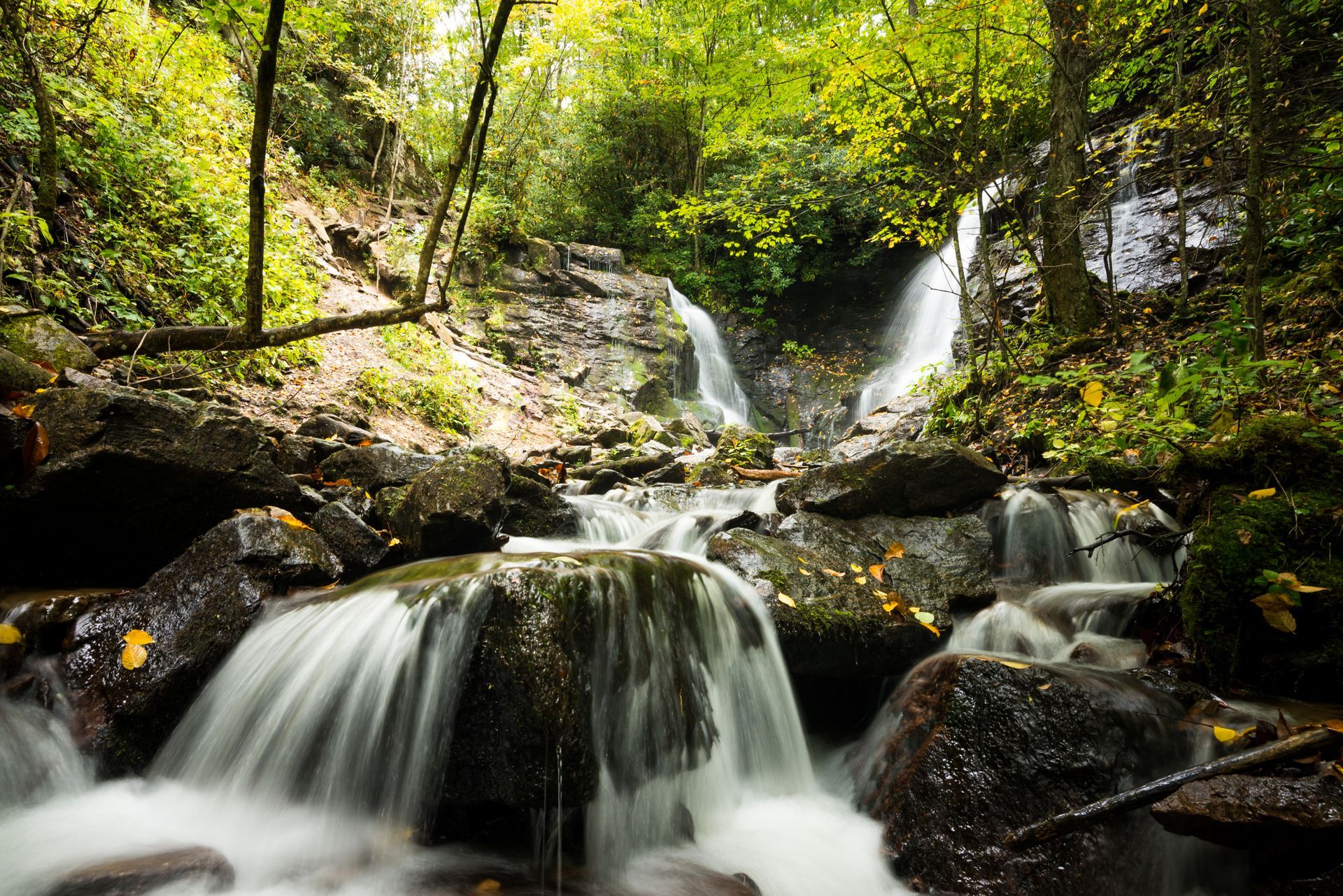Waterfall cascading over rocks in a lush, green forest.