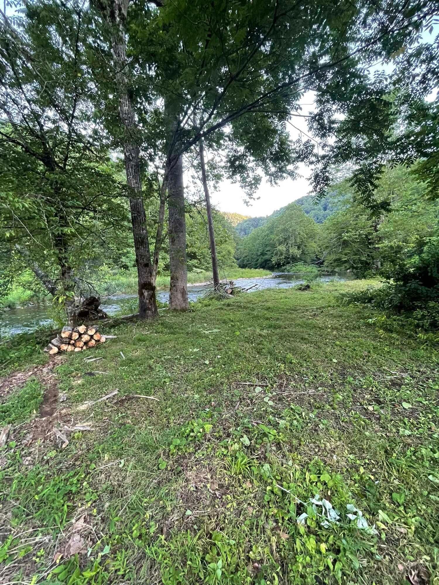 Grassy clearing near a river with trees and a view of rolling hills in the background.