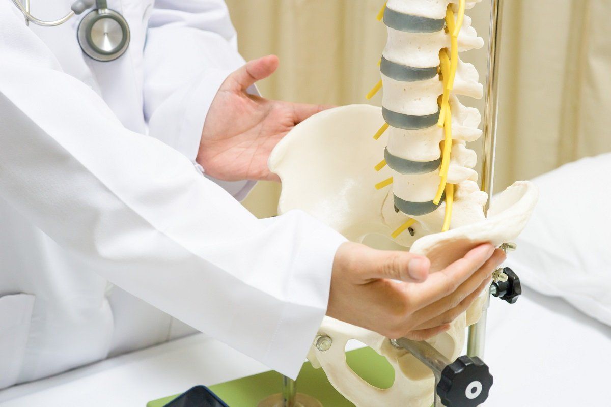 Ricostruzione 3D anca e colonna vertebrale
