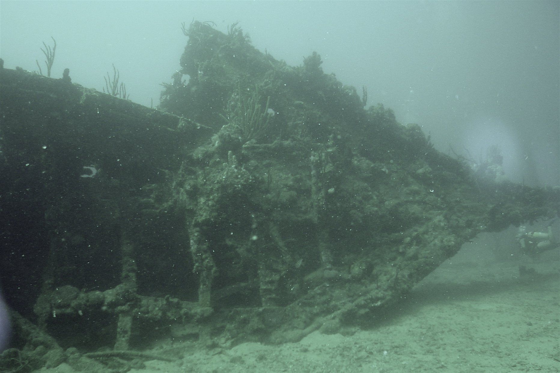 Scuba The Wreck of the Rhone