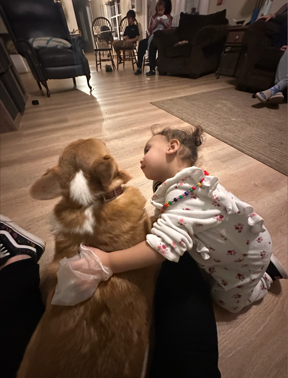 Child cuddling a corgi dog indoors, others in background, warm tones.