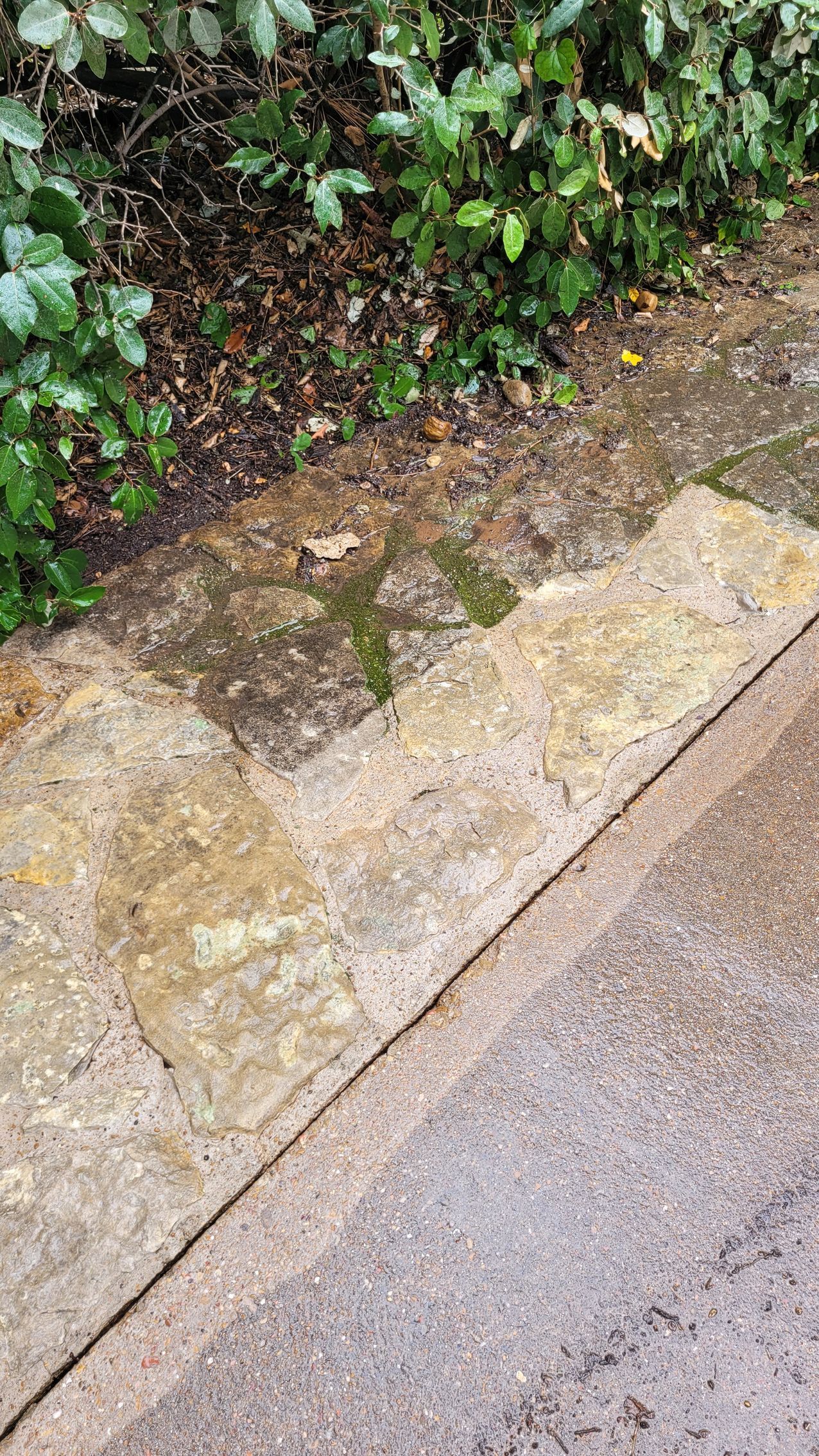 Stone Pressure Washing