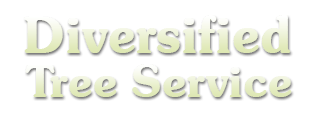 Diversified Tree Service Diversified Tree Service