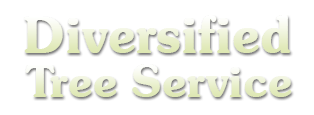 Diversified Tree Service