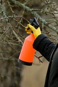 Person wearing yellow glove spraying tree branches with an orange bottle.