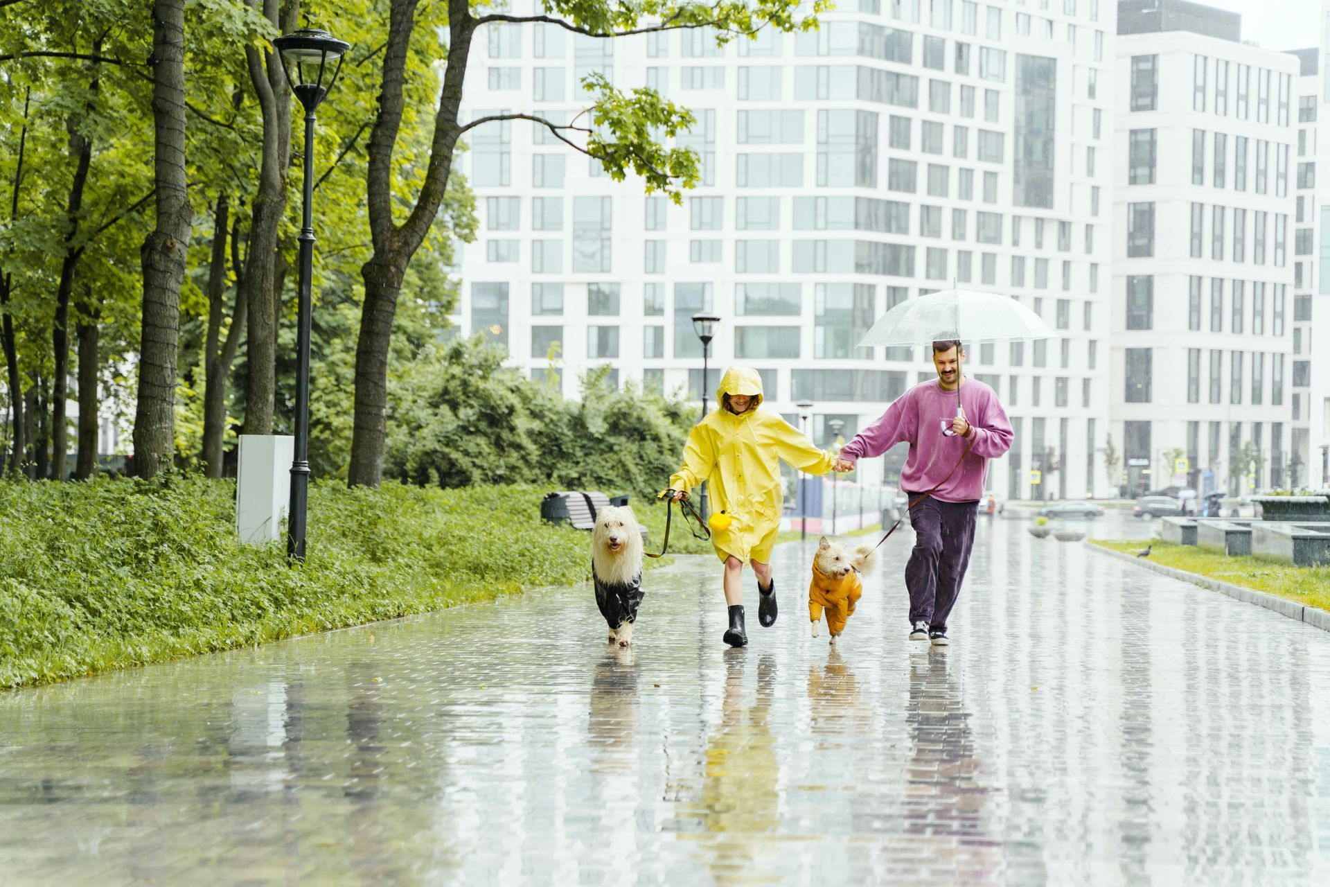 Couple and their pets enjoying under the rain.