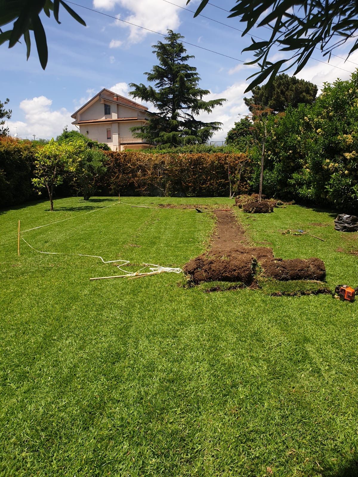 GREEN DAY GIARDINAGGIO