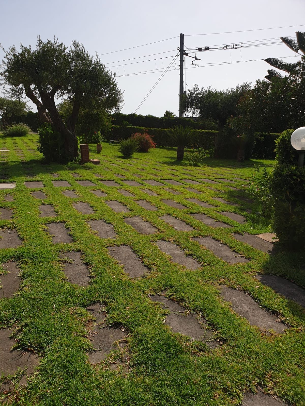 GREEN DAY GIARDINAGGIO