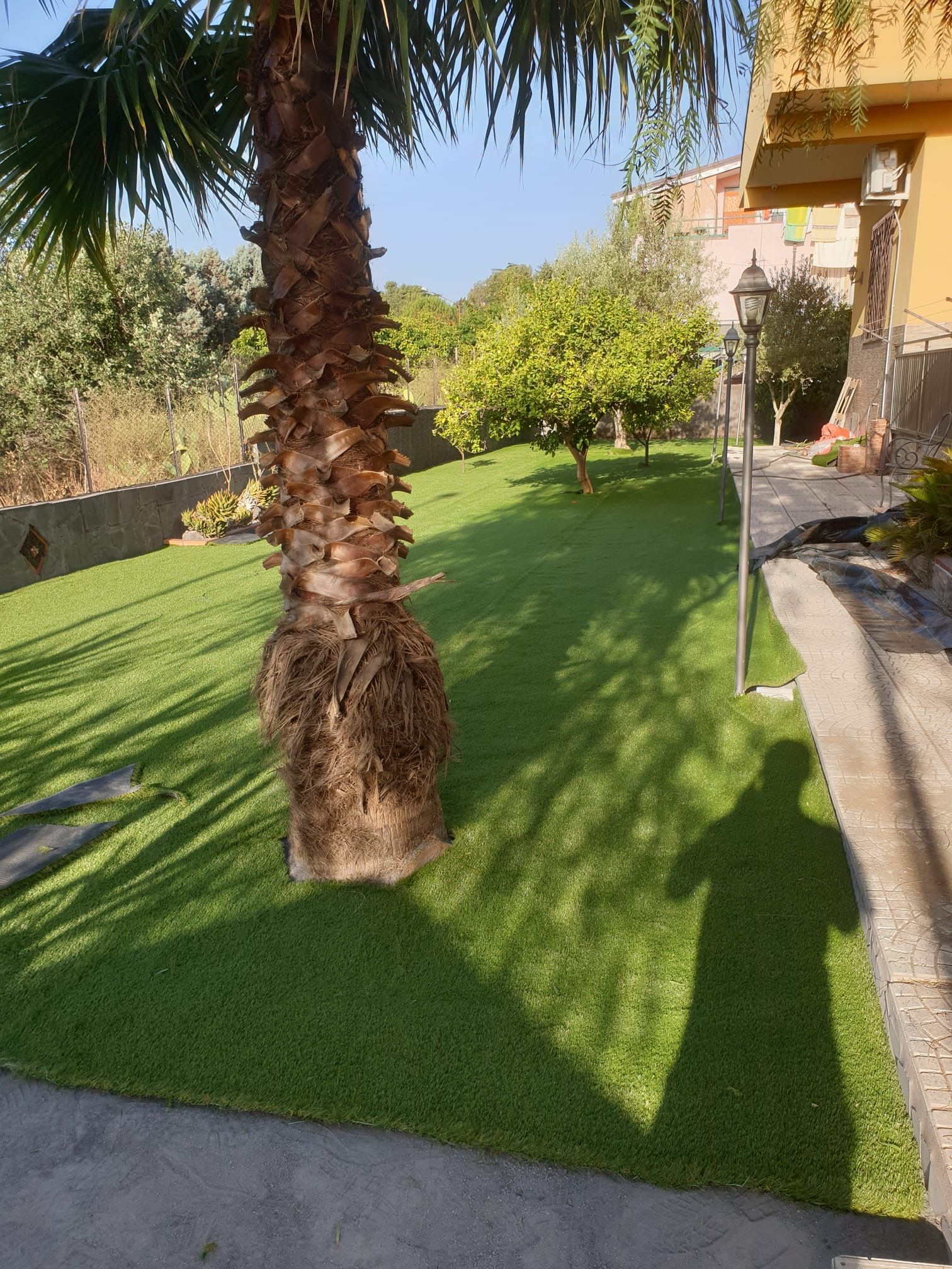 GREEN DAY GIARDINAGGIO