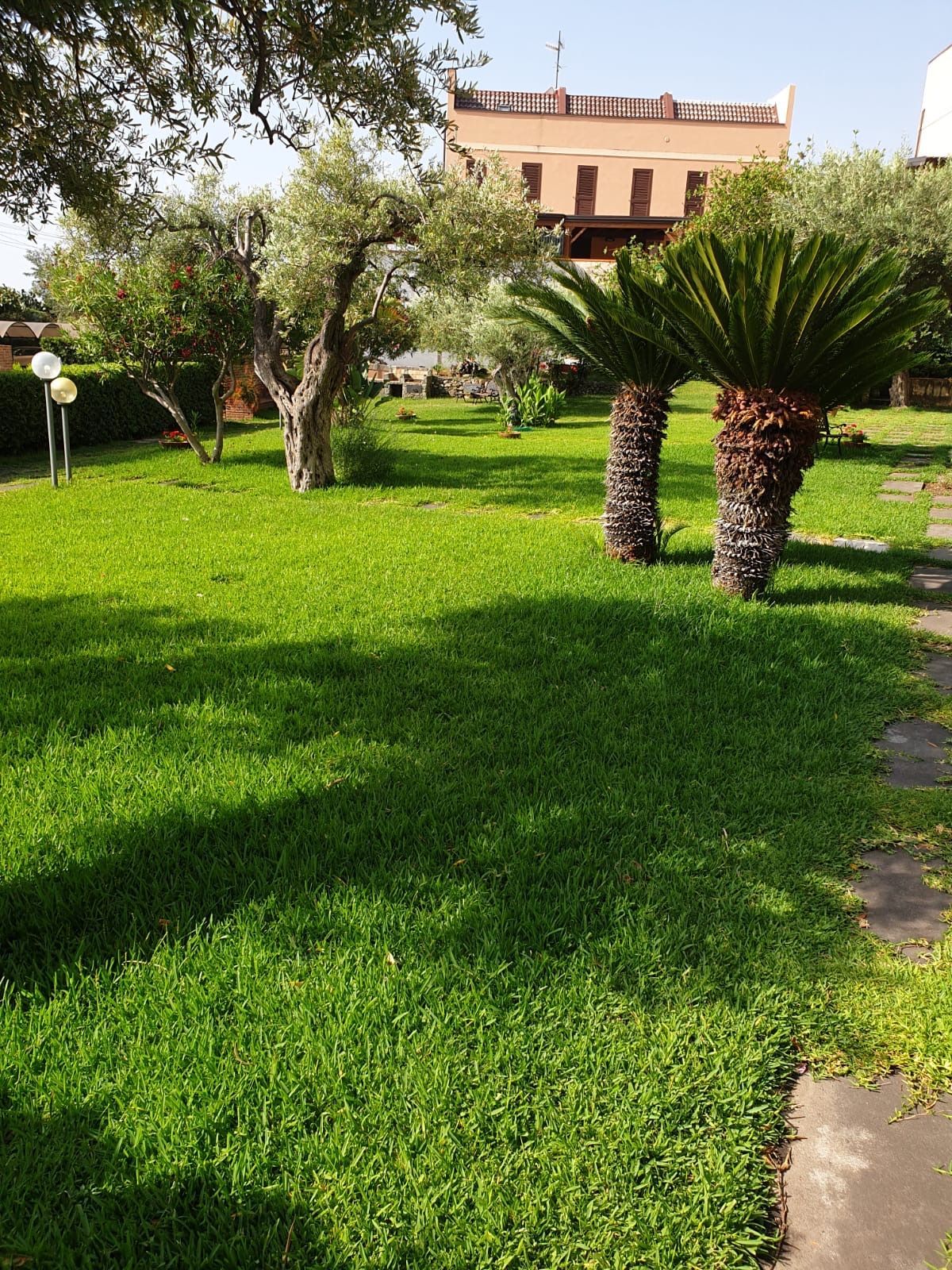 GREEN DAY GIARDINAGGIO