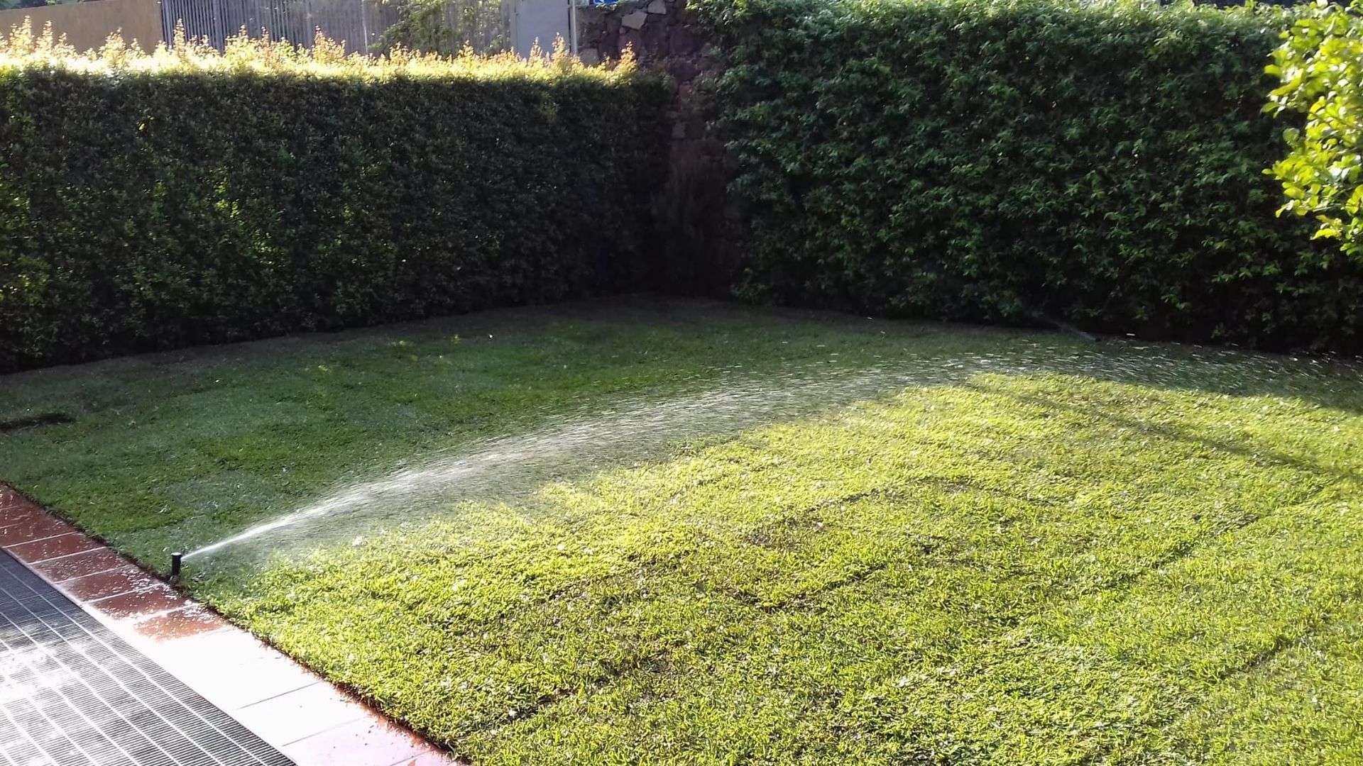 GREEN DAY GIARDINAGGIO