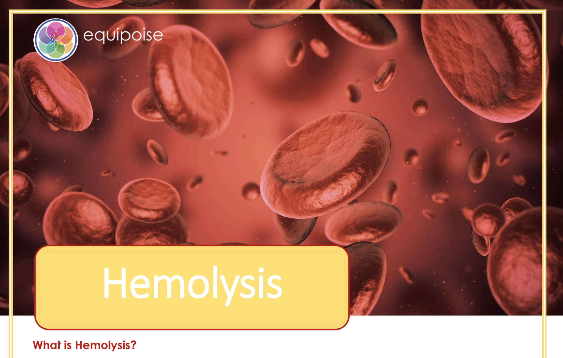 Hemolysis brochure