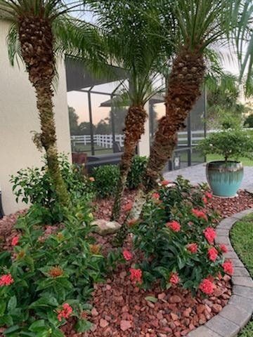 Garden with Flowers — Melbourne, FL — Eau Gallie Wholesale Nursery Inc.