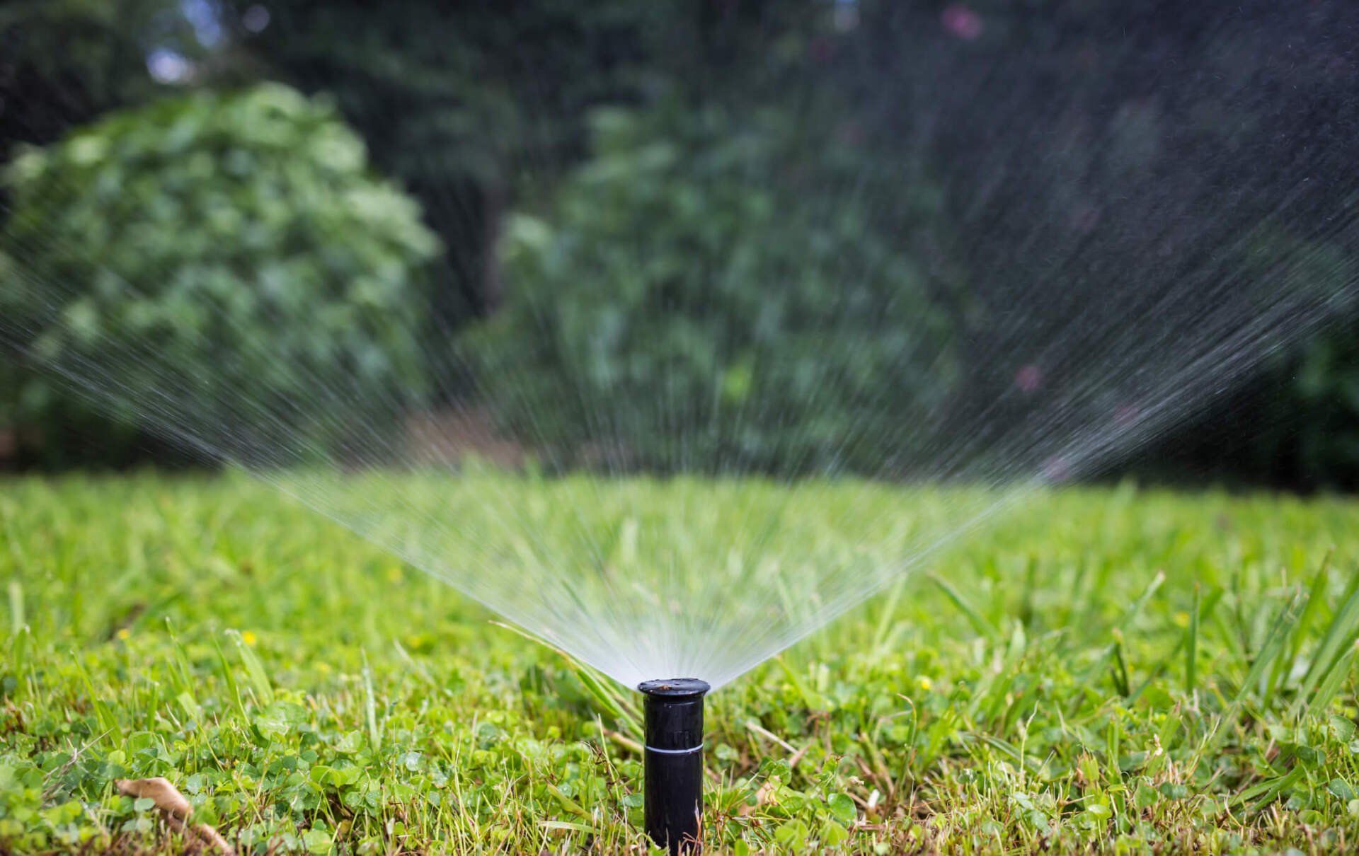 Sprinkler Watering the Lawn — Melbourne, FL — Eau Gallie Wholesale Nursery Inc.