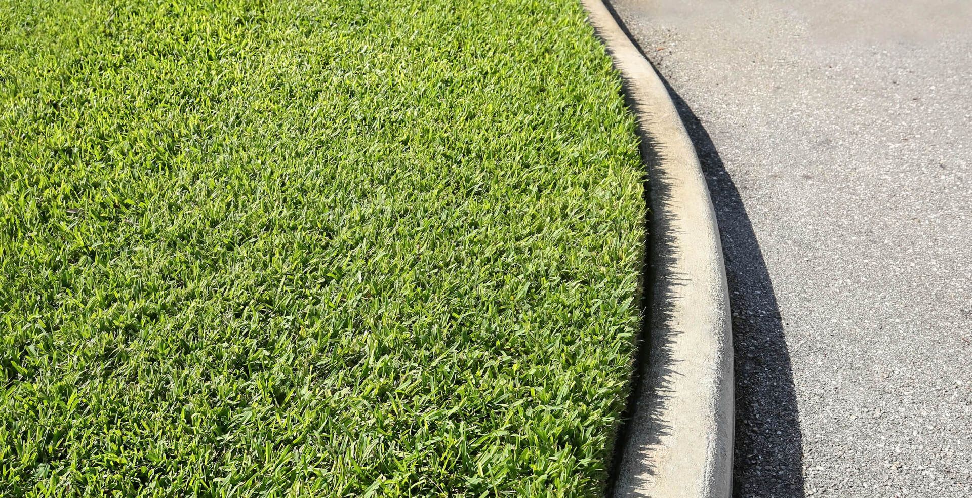 Grass — Melbourne, FL — Eau Gallie Wholesale Nursery Inc.