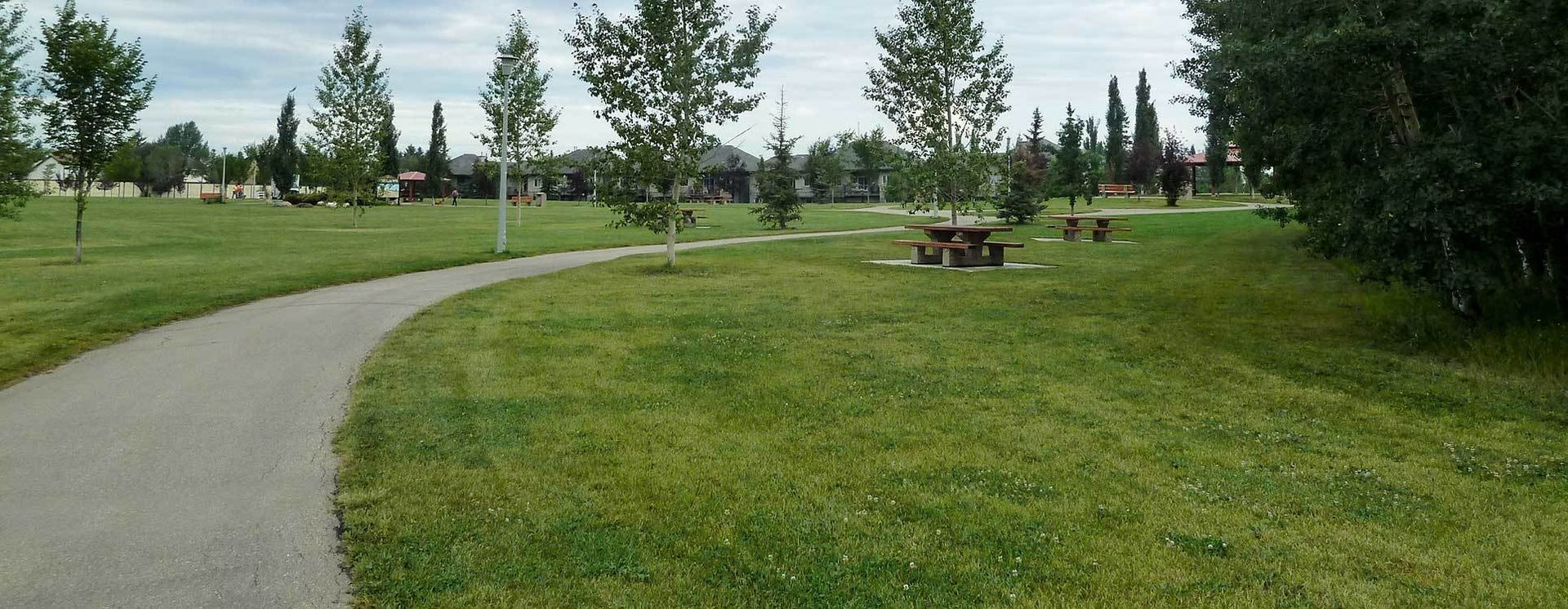 Hilldowns Digital Marketing Spruce Grove, SEO Services, Rank your website #1, One Scarlett Digital Marketing Spruce Grove