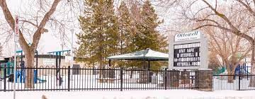 Ottewell Digital Marketing Edmonton, SEO Services, Rank your website #1, One Scarlett Digital Marketing