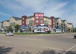 Schonsee Digital Marketing Edmonton, SEO Services, Rank your website #1, One Scarlett Digital Marketing