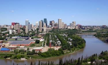 Sheridan Digital Marketing Edmonton, SEO Services, Rank your website #1, One Scarlett Digital Marketing