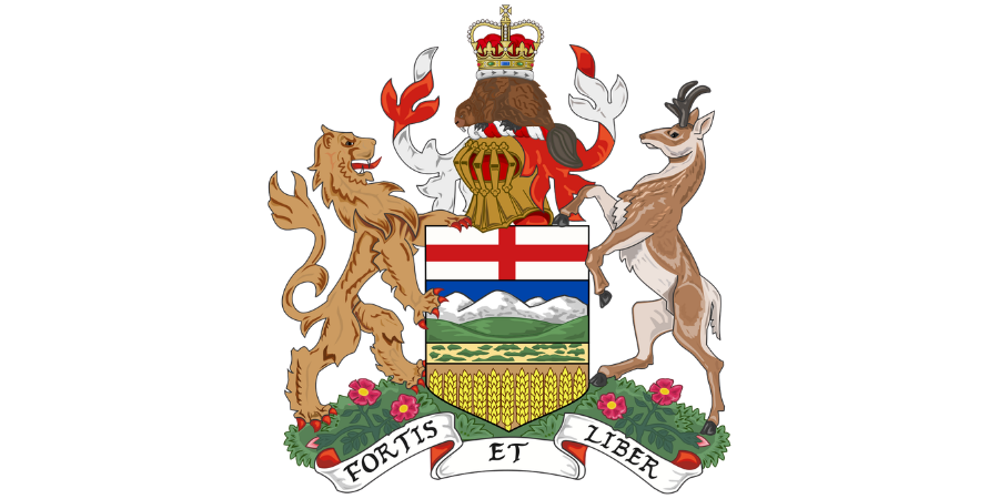 St. Albert Search Engine Optimization and Custom Web Design