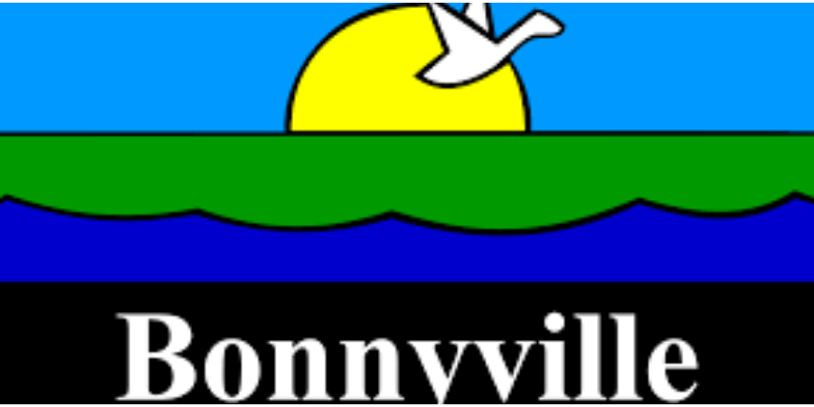 Bonnyville Alberta Industrial Web Design and SEO
