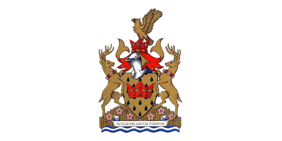 Leduc Local SEO Services and Expert Web Design