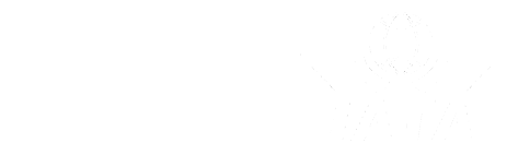 Faint white abstract shapes against a white background.