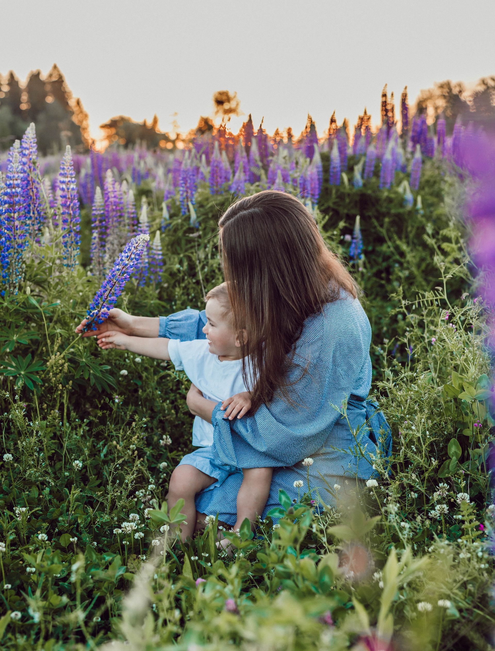 A woman and a child are sitting in a field of purple flowers.