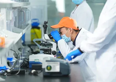 People Working