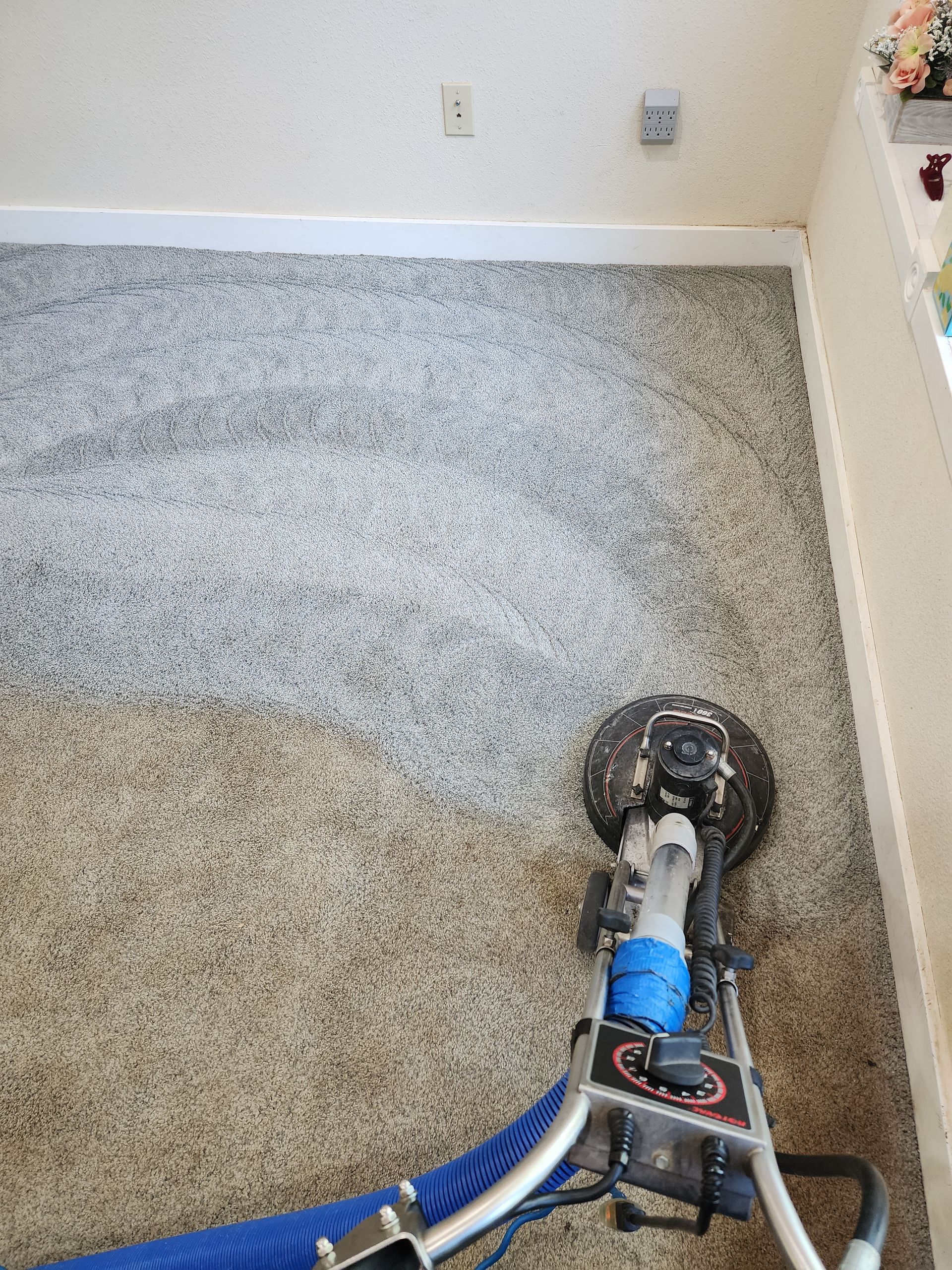 A machine is cleaning a carpet in a room.