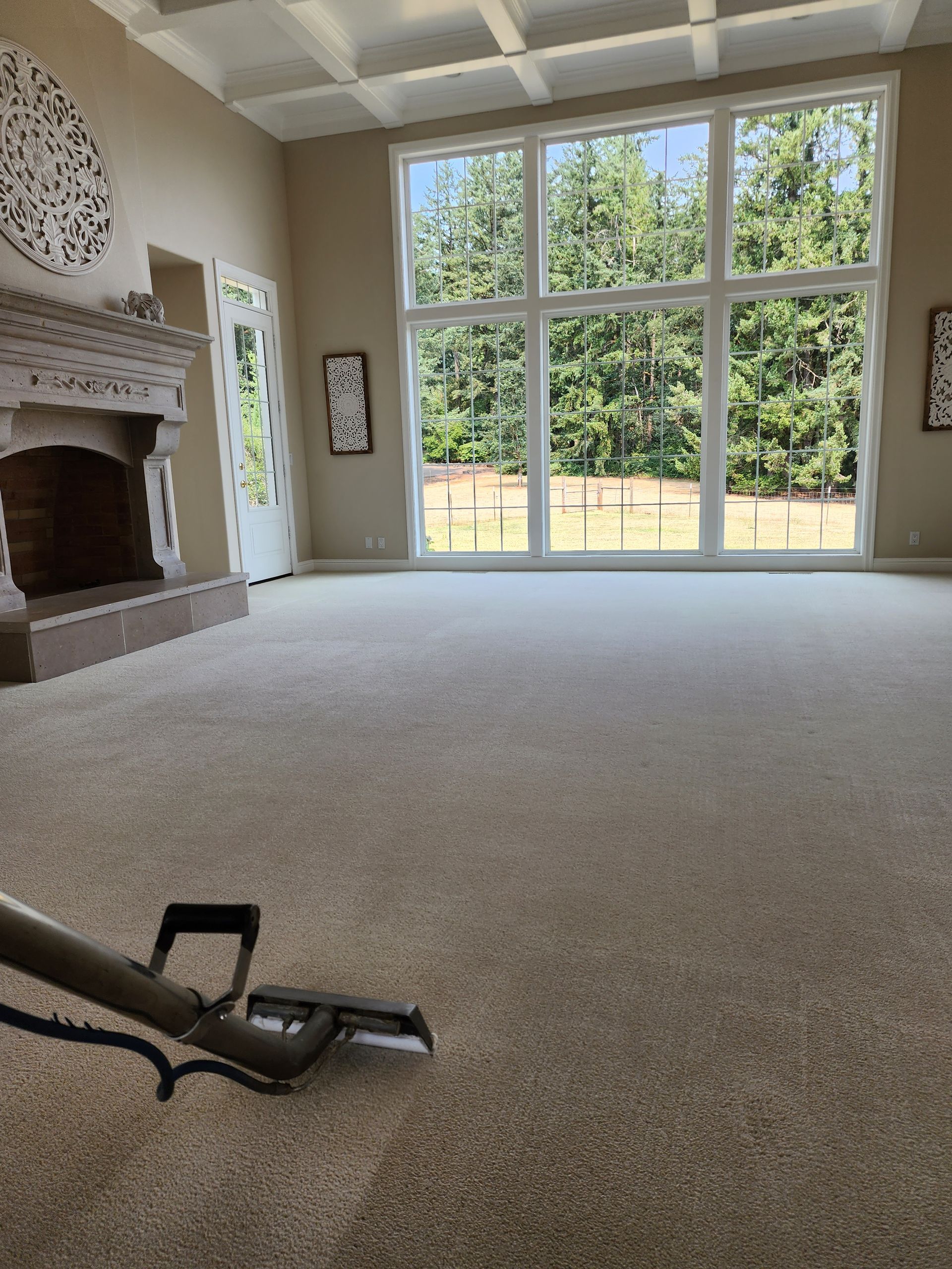 A vacuum cleaner is sitting on a carpeted floor in a living room.
