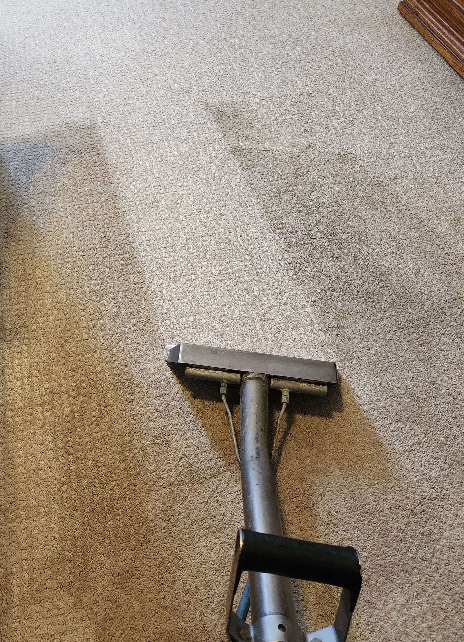 A vacuum cleaner is cleaning a carpet in a living room.