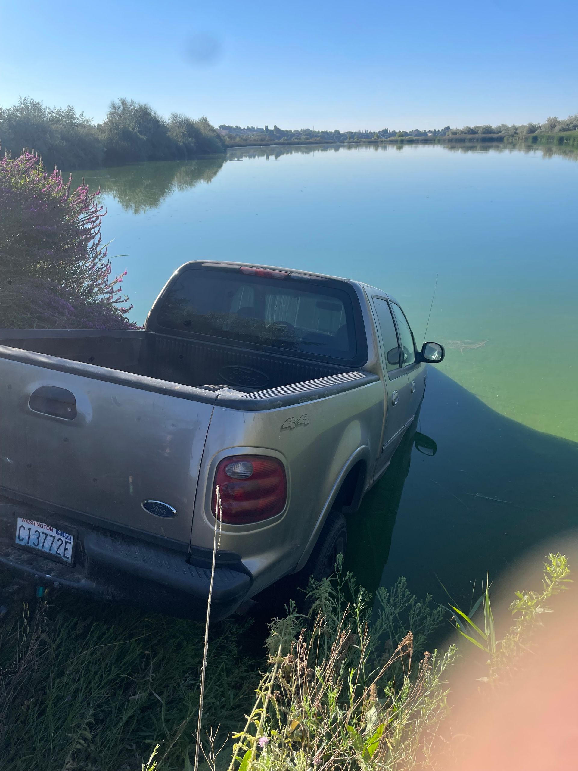 Silver pickup truck partly submerged in a green lakeside shoreline.