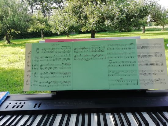 Music Medicine buiten in het open veld. 