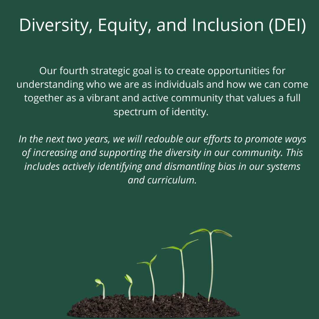 diversity equity and inclusion community education
