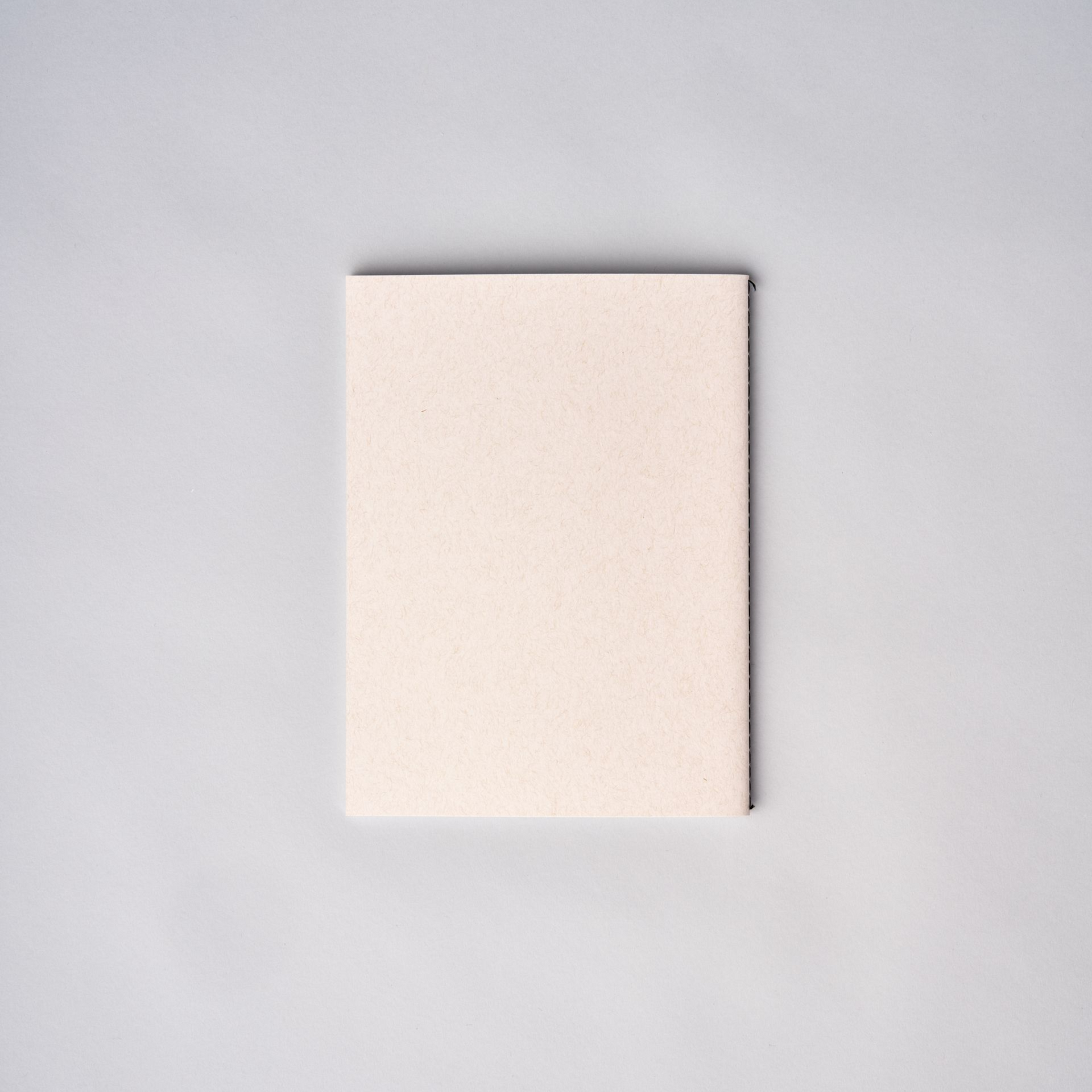 Joshua Abelow: New York Painting