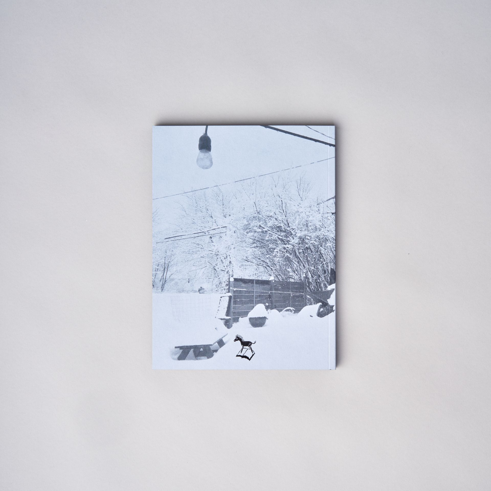 Bill Saylor: Snow Paintings